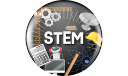 stem button